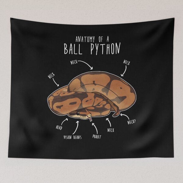 Item preview, Anatomy of a Ball Python designed and sold by Clara Hollins.