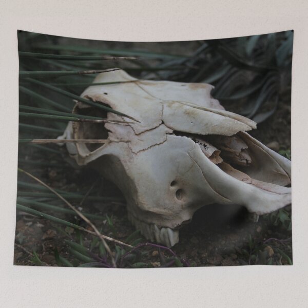 Item preview, Skull designed and sold by SJ Reddy.