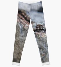 Wood Between The Worlds Leggings