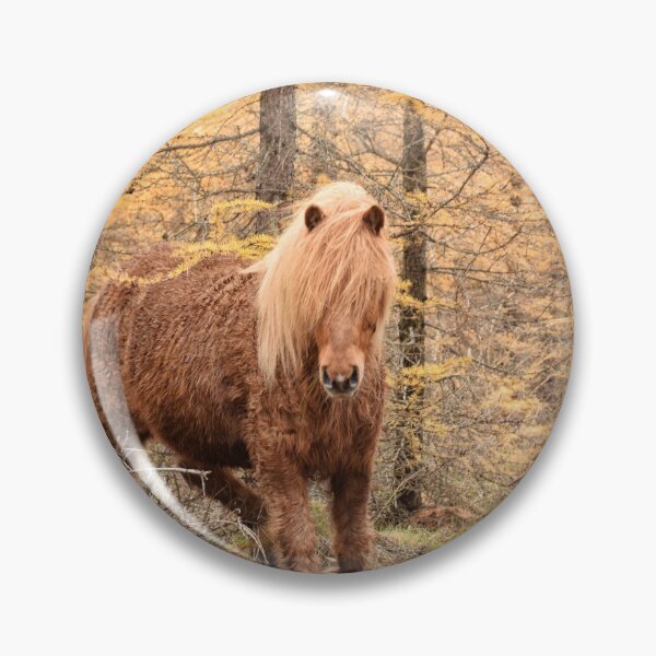 Item preview, Icelandic horse in the forest designed and sold by elisainiceland.