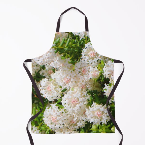 Item preview, White Banjine Pimelea flowers, Western Australia, Australia designed and sold by FranWest.