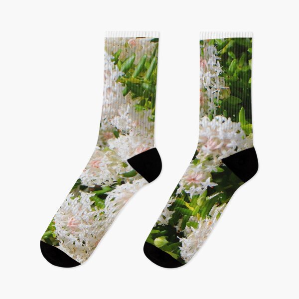 Item preview, White Banjine Pimelea flowers, Western Australia, Australia designed and sold by FranWest.