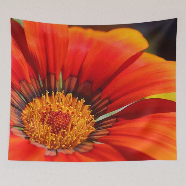 Item preview, Brightly Colored Treasure Flower designed and sold by Artsy-Active.