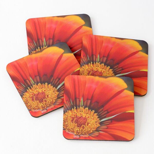 Item preview, Brightly Colored Treasure Flower designed and sold by Artsy-Active.