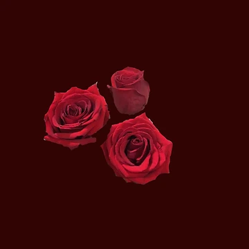 Artwork thumbnail, Red Roses by Lians