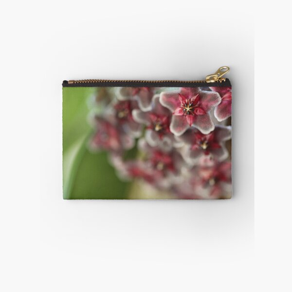 Item preview, Hoya Pubicalyx 'Pink Silver' Flowers designed and sold by ScarySherys.