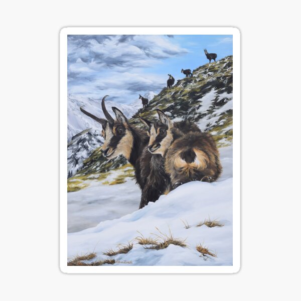 Chamois on the snow - I LOVE MOUNTAINS Sticker