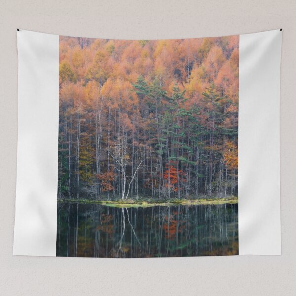 Item preview, Autumn Birch Tree on the Edge of The Mishakaike Pond, Nagano, Japan (wide) designed and sold by Jordan McChesney.