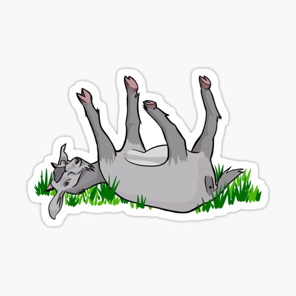 Fainting goat ....my spirit animal Fainting goat ....my spirit animal
