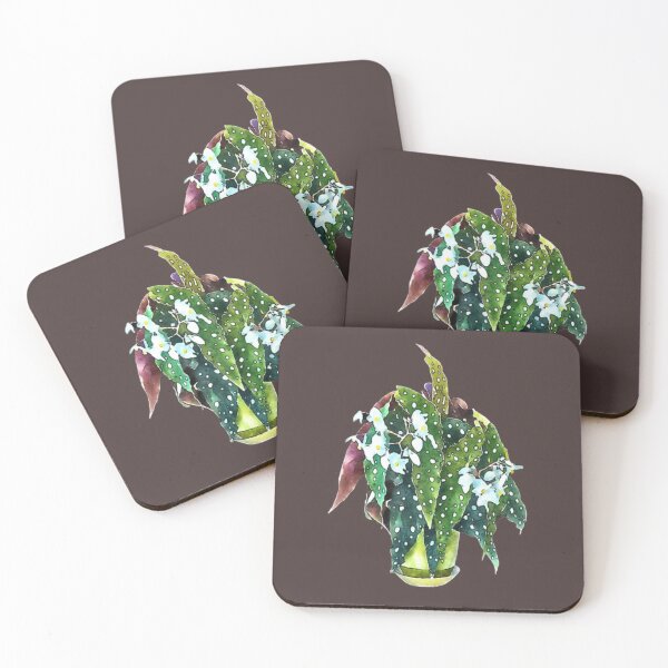 Item preview, Cute Polka Dot Begonia Maculata Gift Angel Wings Adorable Plants Gifts  designed and sold by healmyvibe.