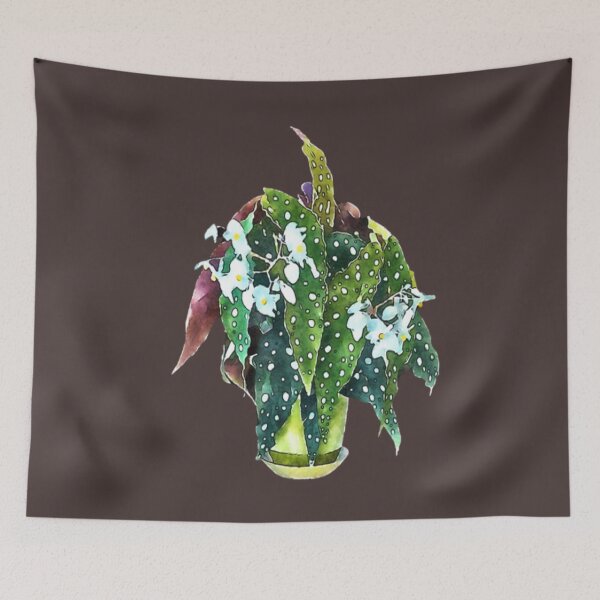 Item preview, Cute Polka Dot Begonia Maculata Gift Angel Wings Adorable Plants Gifts  designed and sold by healmyvibe.