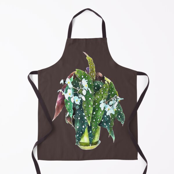 Item preview, Cute Polka Dot Begonia Maculata Gift Angel Wings Adorable Plants Gifts designed and sold by healmyvibe.