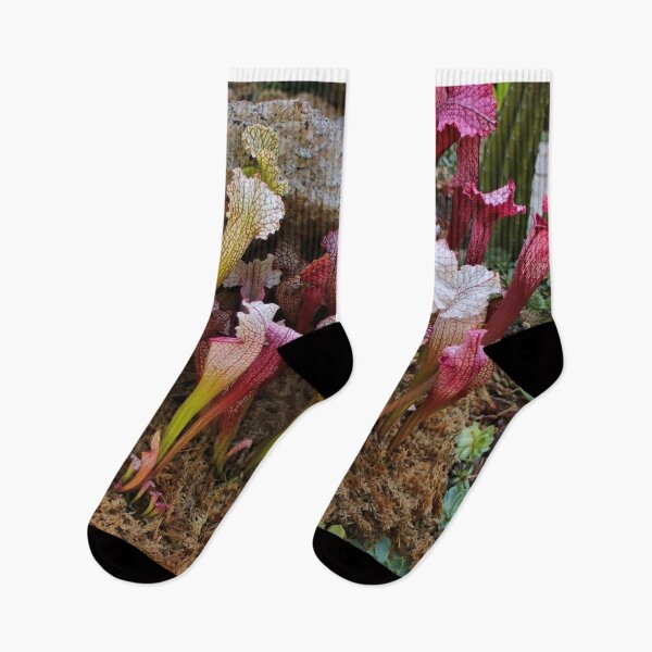 Item preview, Pitcher plants designed and sold by FranWest.