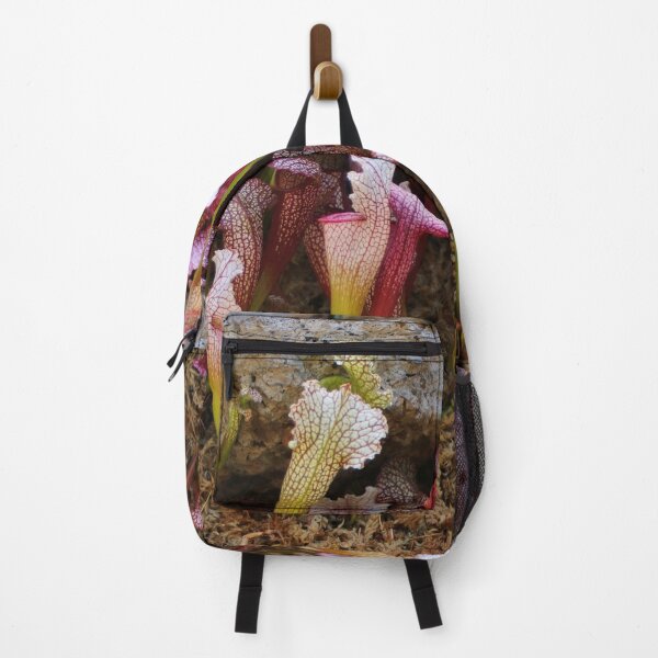 Item preview, Pitcher plants designed and sold by FranWest.