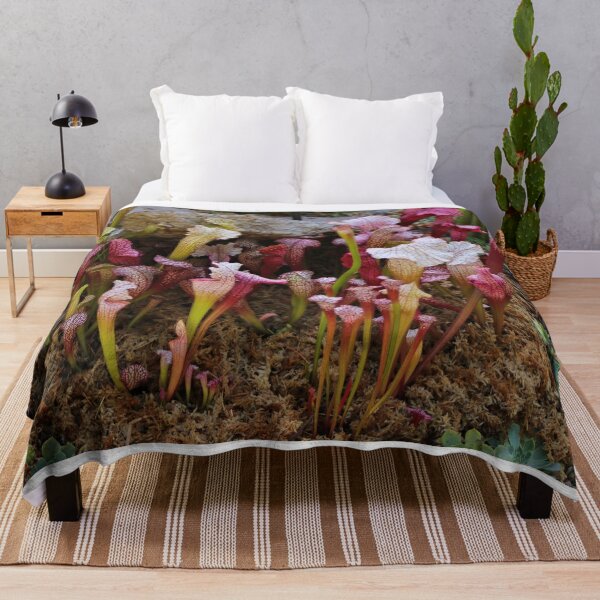 Item preview, Pitcher plants designed and sold by FranWest.