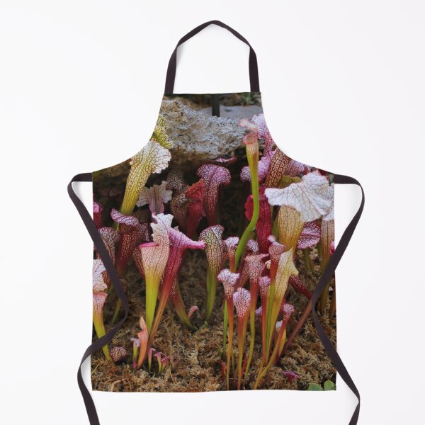 Item preview, Pitcher plants designed and sold by FranWest.