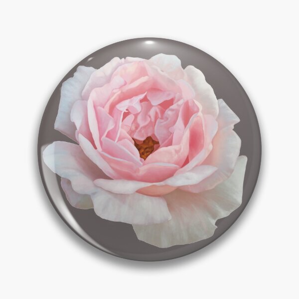 Item preview, Pink rose designed and sold by Tiana Lane.