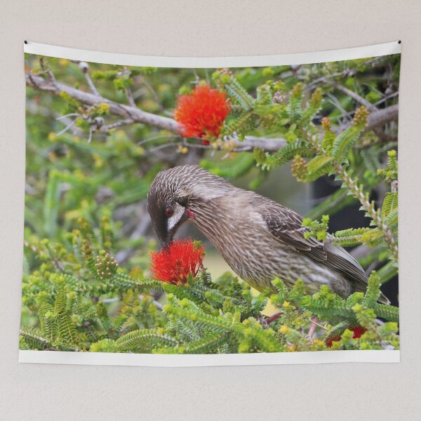 Item preview, Kalbarri Beaufortia flowers and bird, Western Australia  designed and sold by FranWest.
