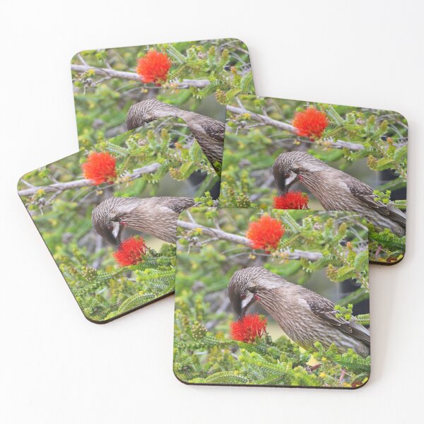 Item preview, Kalbarri Beaufortia flowers and bird, Western Australia  designed and sold by FranWest.