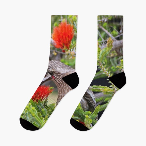Item preview, Kalbarri Beaufortia flowers and bird, Western Australia  designed and sold by FranWest.