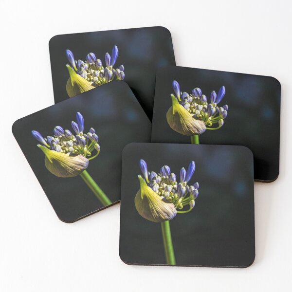 Item preview, A New Day designed and sold by Marylou Badeaux.