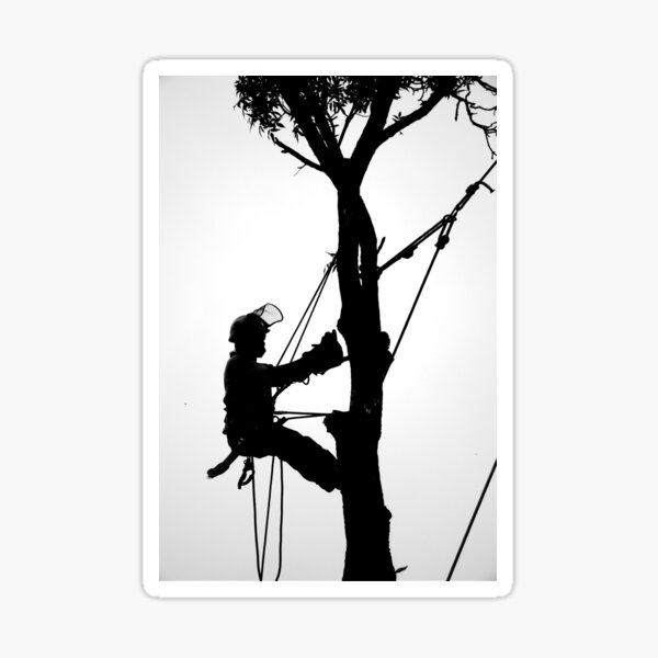 Item preview, Arborist at Work 3 designed and sold by StevenRalserPhoto.