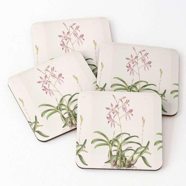 Item preview, Laelia autumnalis by Augusta Innes Withers  designed and sold by Amanda1775.