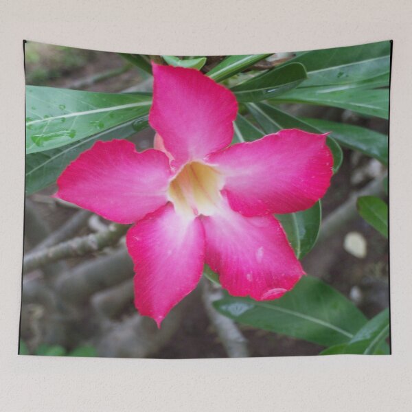 Item preview, Pink Tropical Flower Malaysia designed and sold by HolidayTees.