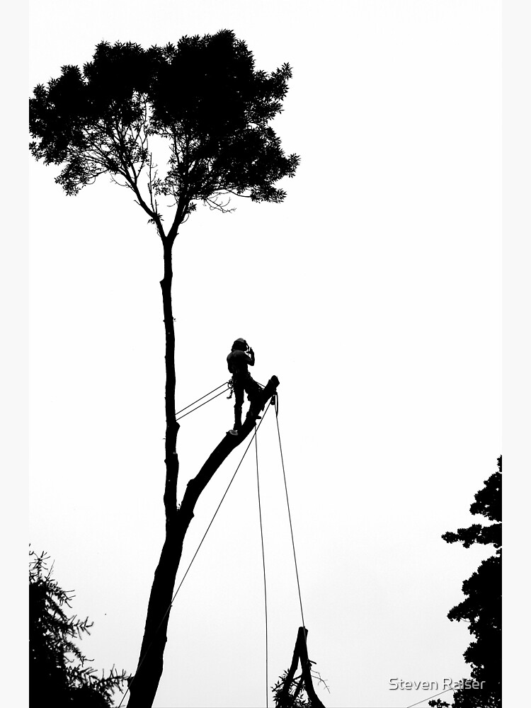 "Arborist at Work 6" Sticker by ralser Redbubble