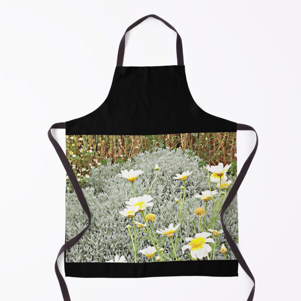 Item preview, Daisies - Greece designed and sold by Anne Huth.