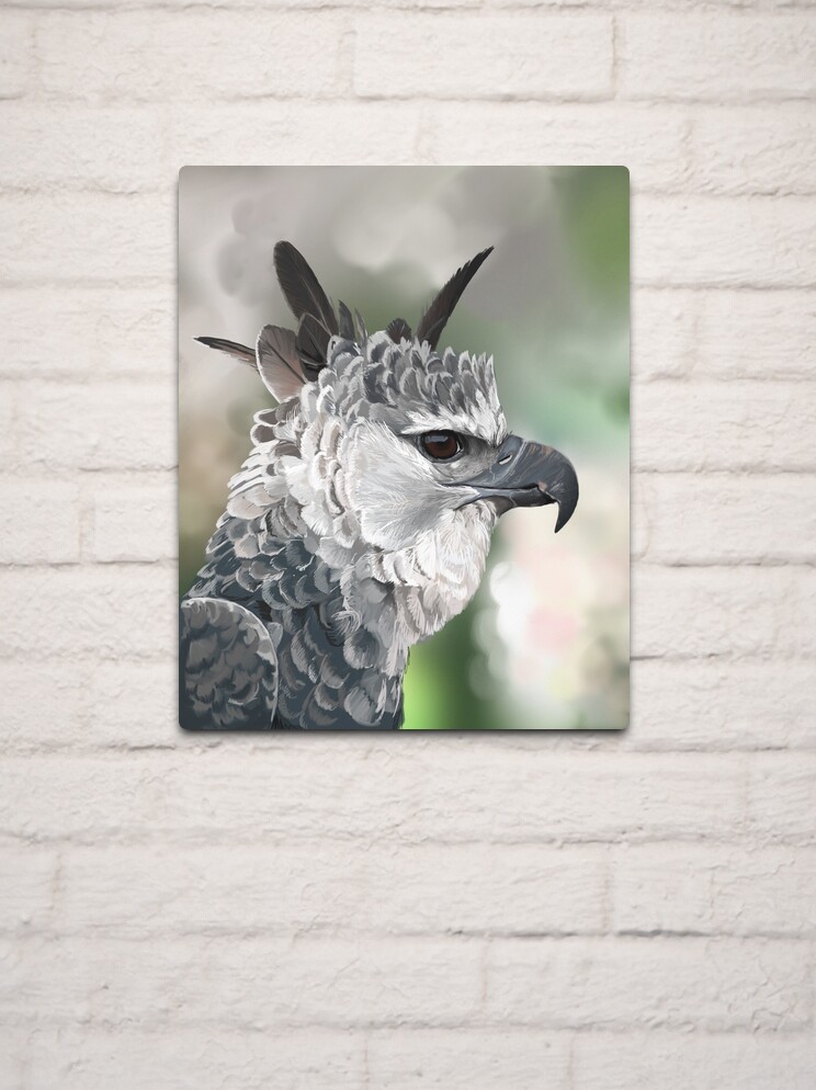 Harpy Eagle Art Print for Sale by PharaohofSedona