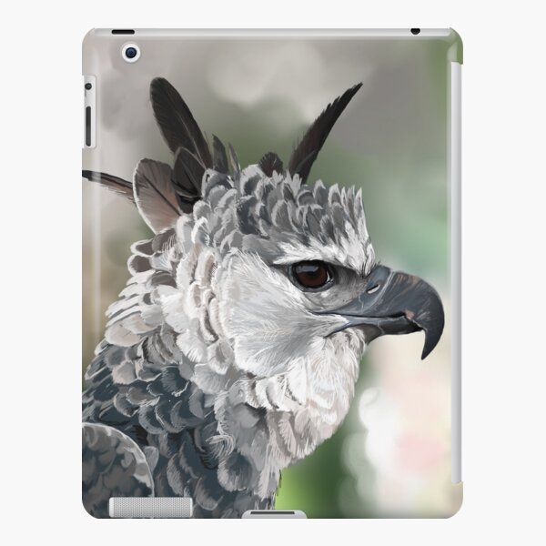 Harpy Eagle Art Print for Sale by BarefootSeeker