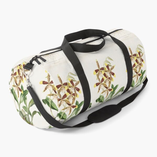 Item preview, Rossioglossum grande by Augusta Innes Withers designed and sold by Amanda1775.