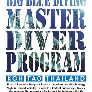 Artwork thumbnail, Dive Master Program - Big Blue Pro by BigBlueDiving