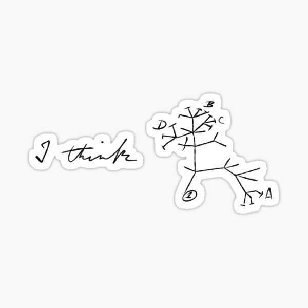 Darwin's Tree of Life Sticker