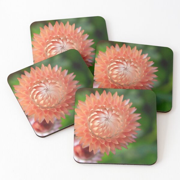 Item preview, Golden Everlasting Strawflower designed and sold by Artsy-Active.