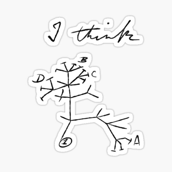 Darwin's Tree of Life Sticker