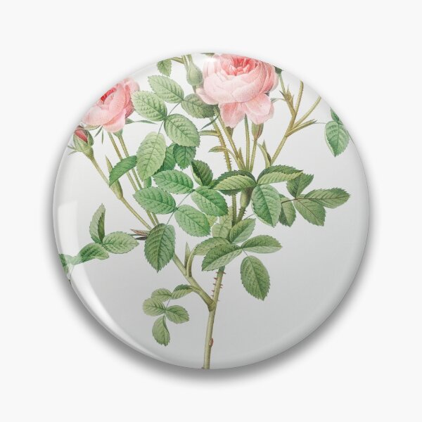 Item preview, Les Roses by Pierre-Joseph Redouté designed and sold by EsotericBotanic.