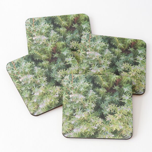 Item preview, Winter Yew designed and sold by apptreasures.