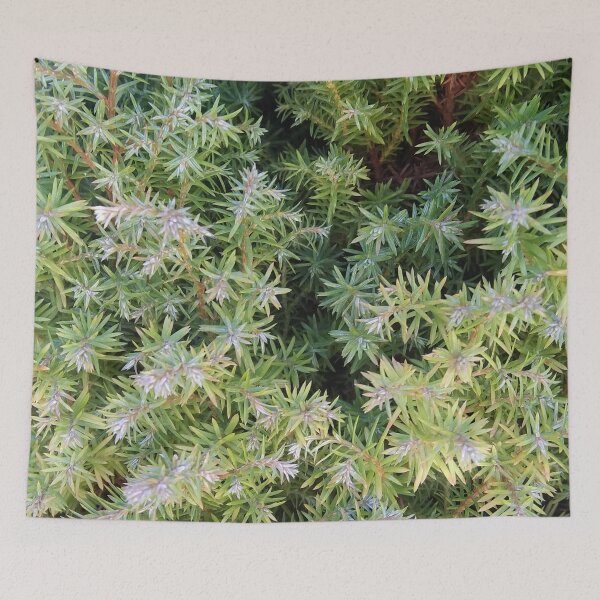 Item preview, Winter Yew designed and sold by apptreasures.
