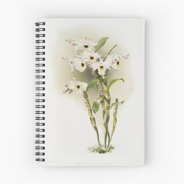 Item preview, Reichenbachia: Orchids Illustrated and Described designed and sold by EsotericBotanic.