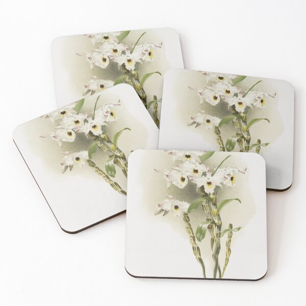 Item preview, Reichenbachia: Orchids Illustrated and Described designed and sold by EsotericBotanic.