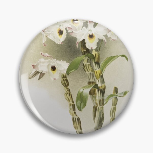 Item preview, Reichenbachia: Orchids Illustrated and Described designed and sold by EsotericBotanic.