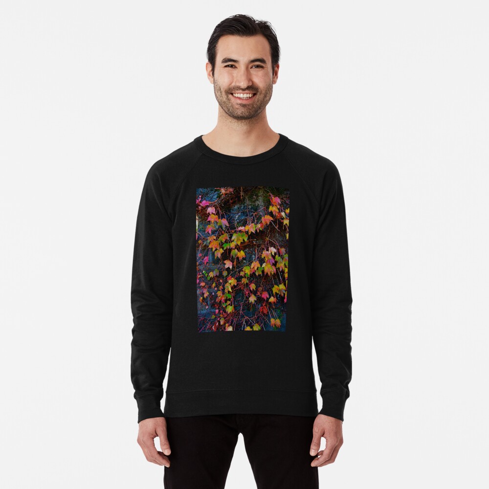 Item preview, Lightweight Sweatshirt designed and sold by Jdubphotog.