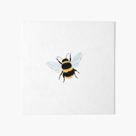 watercolor bee｜TikTok Search