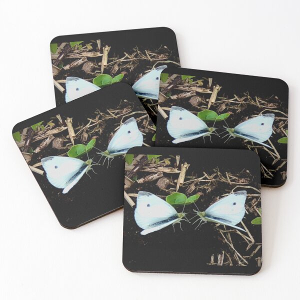 Item preview, Pair of Lepidoptera Butterfly or Moth? designed and sold by KazM.