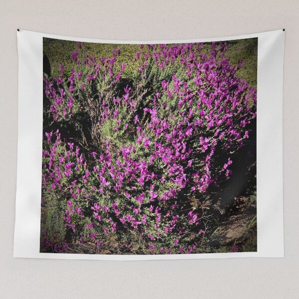 Item preview, Lovely Lavender designed and sold by KazM.
