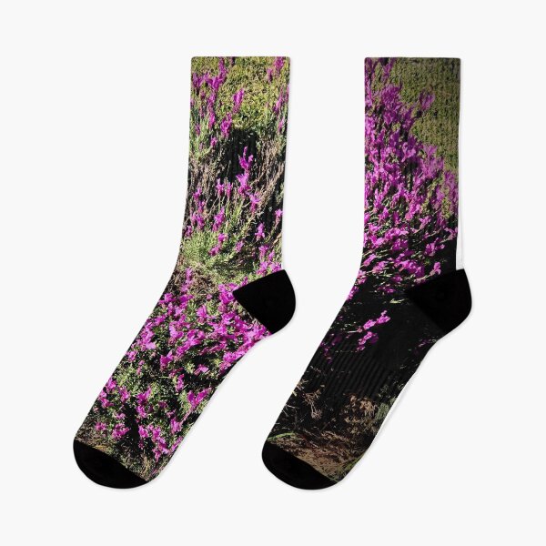 Item preview, Lovely Lavender designed and sold by KazM.