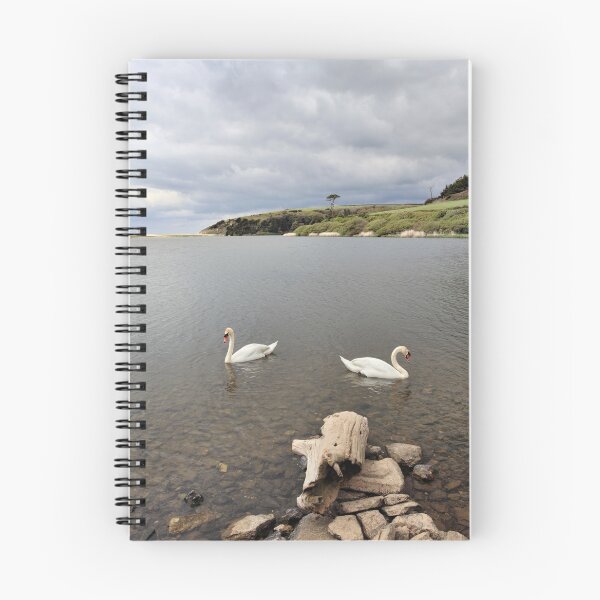 Item preview, Swans on Loe Pool designed and sold by bitm2007.
