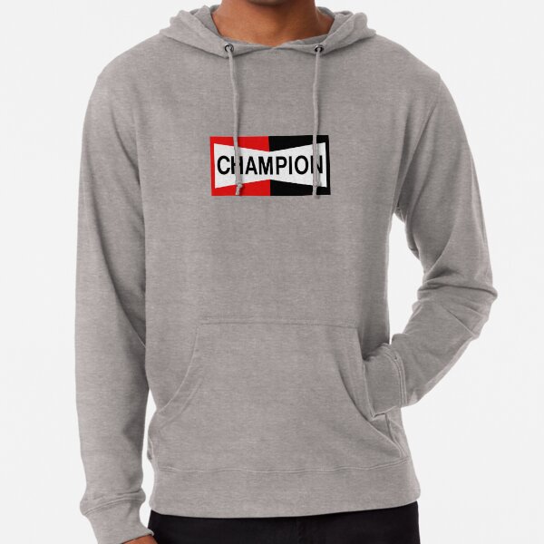 champion sweater navy lodge
